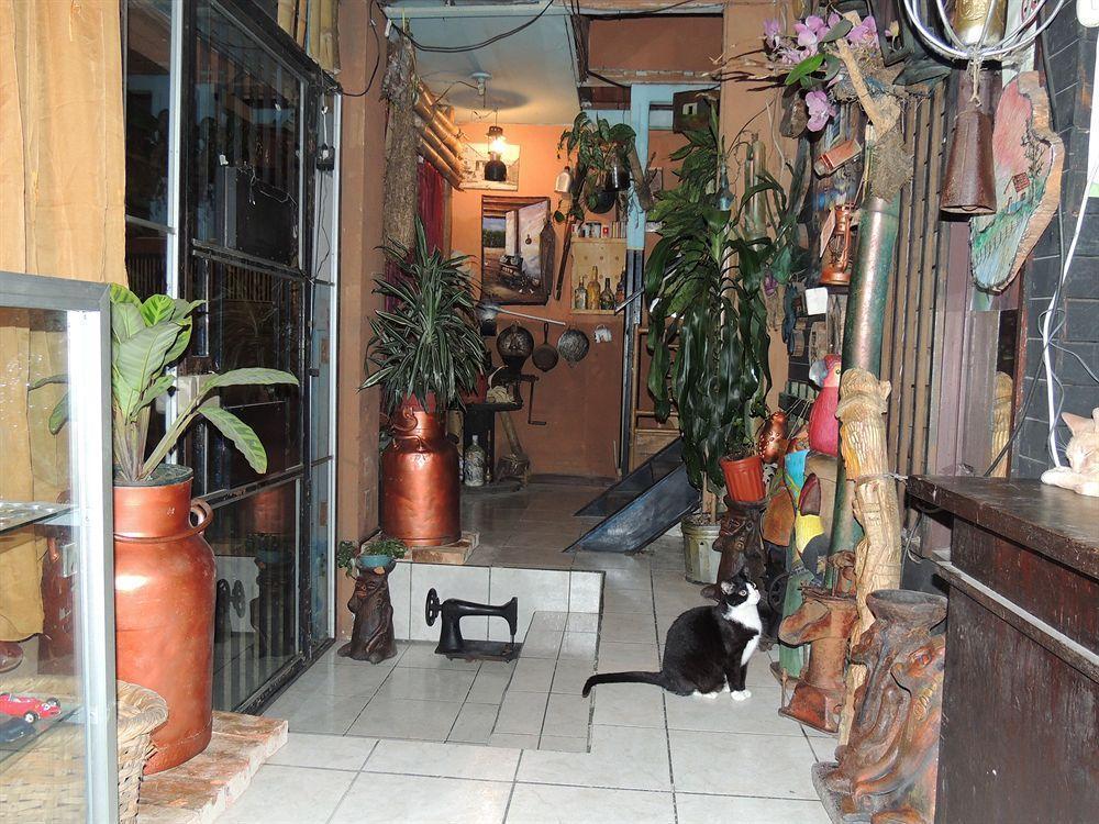 Hostal Del Este Santa Fe San Jose  Exterior foto